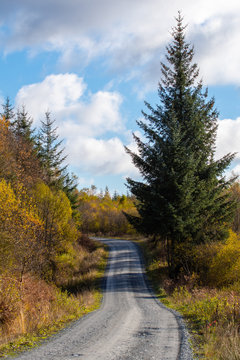 Views along the Raiders Road in the Galloway Forest Park during the autumn season