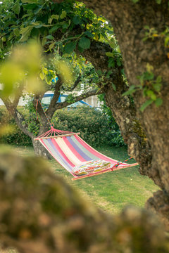 Hammock in green garden