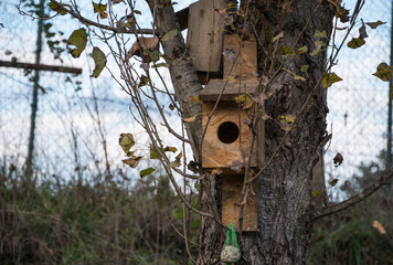 Handmade wooden bird house nailed to a tree, with a ball of fat for the birds to eat hanging from it.