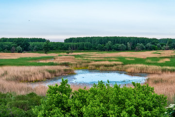 Naklejka premium View of a swamp in Serbia
