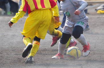 Fototapeta premium サッカー フットボール