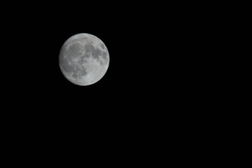 The full moon against a black sky showing texture and cratered surface