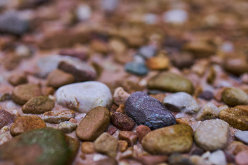 River pebbles in closeup