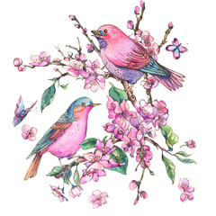 Plakaty  Akwarela kwiatowy wiosna kartkę z życzeniami, różowe kwitnące gałęzie wiśni brzoskwini, ptaki