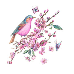 Watercolor floral spring greeting card, pink blooming branches of cherry peach, birds