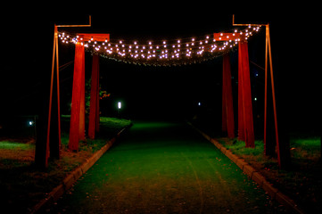 Road in the night Park illuminated by a festive garland.