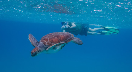 Obraz premium Snorkelling at the Tug Boat Views around the Caribbean isalnd of Curacao