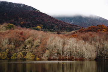 Lake in the Mountain Landscape in Autumn