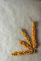 buckthorn branches on the corner of table