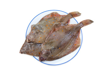 Whole Plaice flatfish in a plate isolated on a white background.