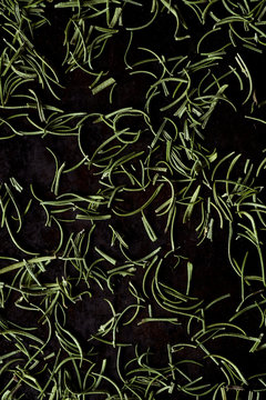 Rosemary from Massachusetts, USA