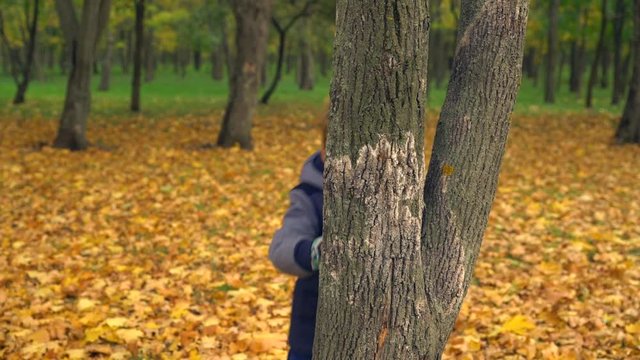 Young boy hiding behind the tree