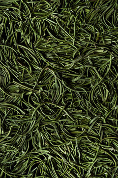 Rosemary leaves