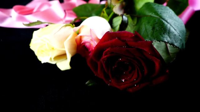 	The falling rose on a black background. Slow motion.