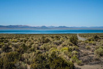 mono lake desert california