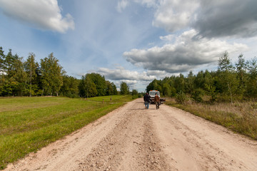 Obraz premium simple countryside forest road in perspective