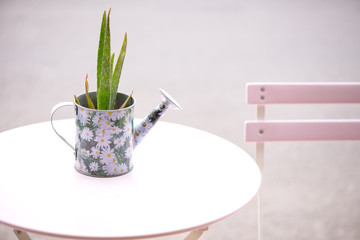 Watering can with plant, white table and pink chair