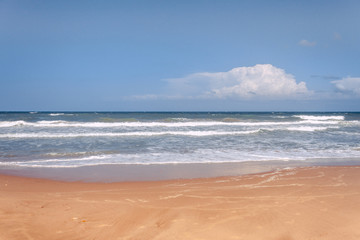 By the sea