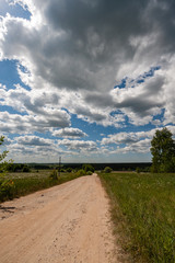 simple countryside forest road in perspective
