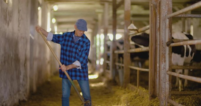 Confident mature male farmer holding pitchfork in stable