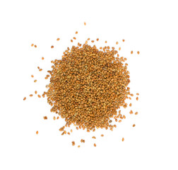 Dried organic alfalfa seeds or dry medicago sativa isolated
