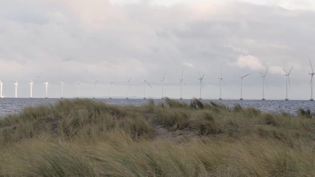 windturbine spinning out in water at amager beach in denmark, with grass in the fourground