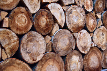 Large logs and pieces of firewood stacked.