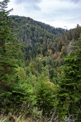 misty day in slovakia tatra mountains