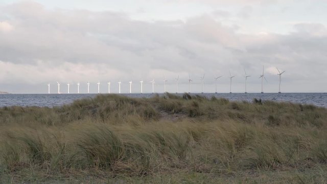 windturbine spinning out in water at amager beach in denmark, with grass in the fourground