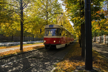 Fototapeta na wymiar tram in the park
