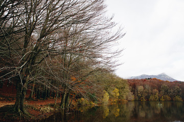 Fototapeta premium Lake and Trees Landscape in Autumn