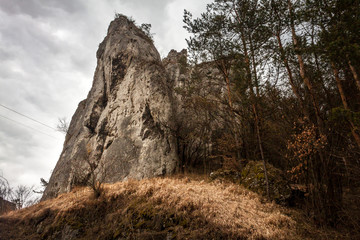 Rocks