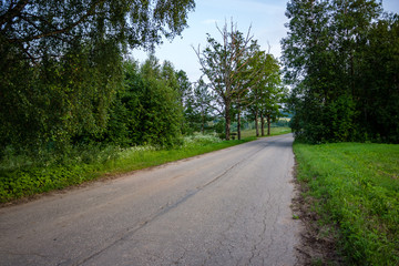 Fototapeta na wymiar simple countryside forest road in perspective