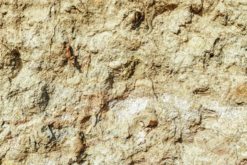 Cut old stone texture with roots in wall of rock