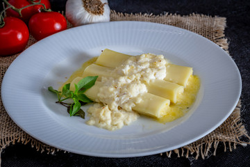 Italian caneloni with bechamel sauce and cheese on rustic background.