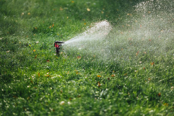 working lawn sprinkler spraying water over green grass