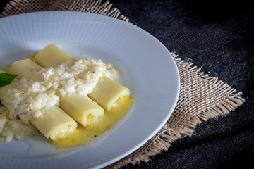 Italian caneloni with bechamel sauce and cheese on rustic background.