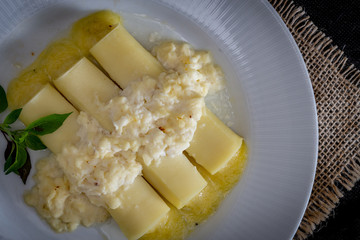 Italian caneloni with bechamel sauce and cheese on rustic background.