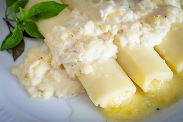 Italian caneloni with bechamel sauce and cheese on rustic background.