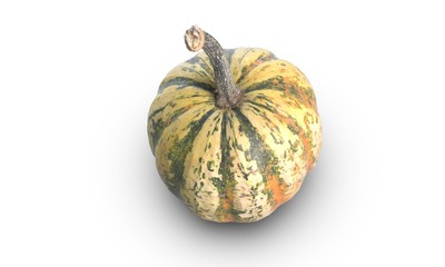 3D illustration of small decorative green pumpkin on white background