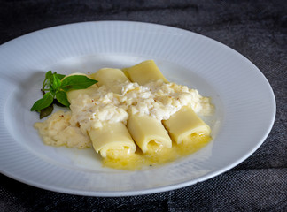 Italian caneloni with bechamel sauce and cheese on rustic background.