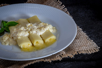 Italian caneloni with bechamel sauce and cheese on rustic background.