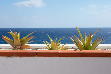 part of balcony with cactus against blue sea background