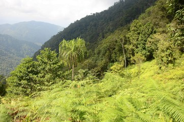 Berglandschaft im Torajaland, Sulawesi - Indonesien