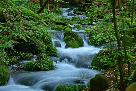 尚仁沢湧水 のストック写真 ロイヤリティフリーの画像 ベクター イラスト Adobe Stock 尚仁沢湧水 のストック写真 ロイヤリティフリーの画像 ベクター イラスト Adobe Stock
