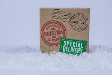 Santa Secret Delivery Present
