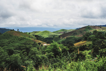 Naklejka premium landscape of Mountain in Nan province Thailand