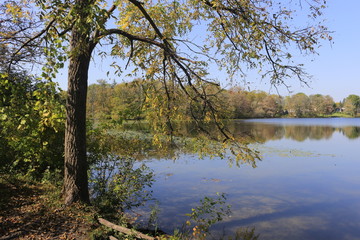 Dramatic Lake reflection in Autumn in Canada