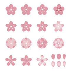 Sakura, cherry blossom - set of 15 spring  flower and petal icons, vector