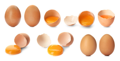 Set with fresh eggs on white background